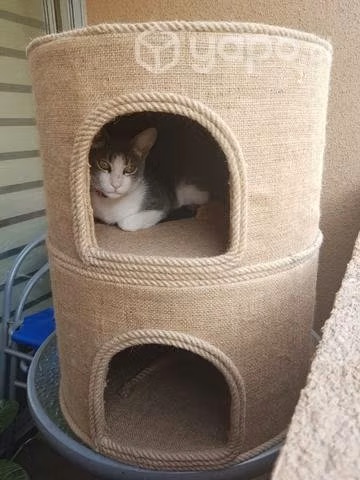 Raskyhouse