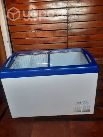 Congeladora 250lt bozzo