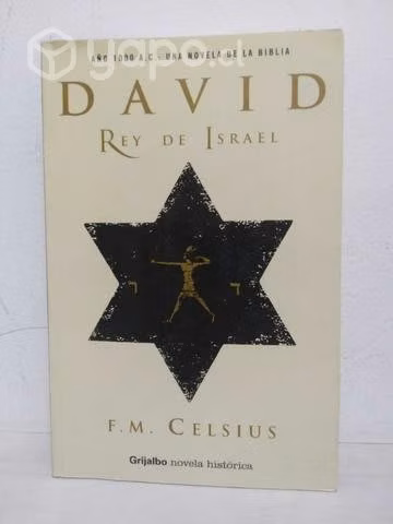 David rey de Israel