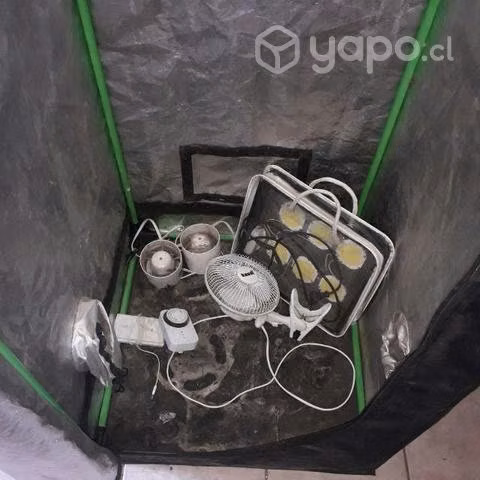 Indoor