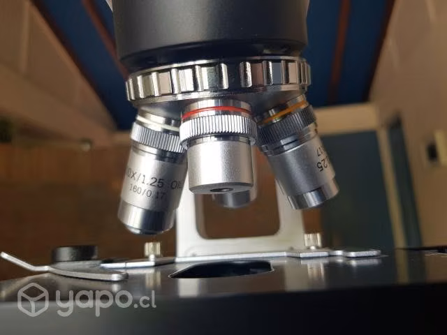 Microscopio Binocular 1000x - Semiprofesional