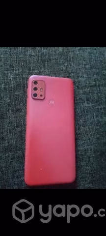 Celular moto g20
