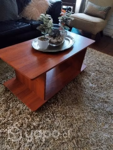 Mesa de centro o rack