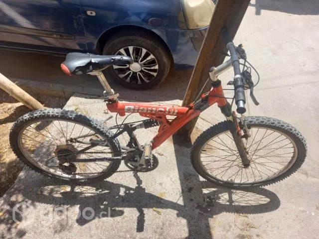 Bianchi aro 24