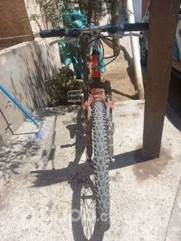 Bianchi aro 24 - Imagen 2