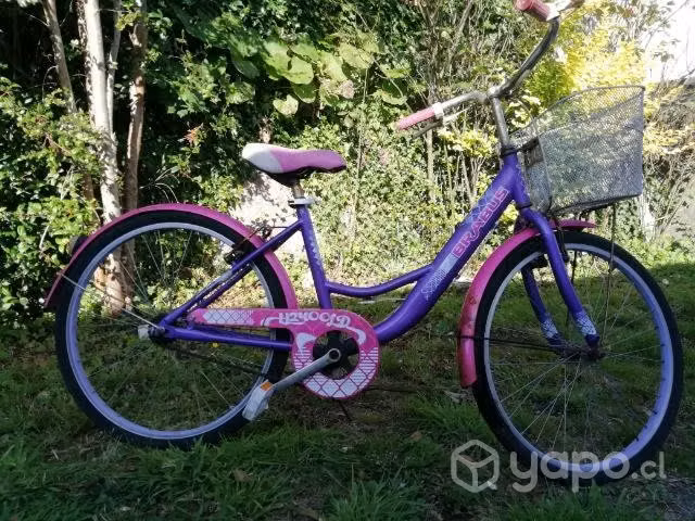 Bicicleta niña aro 24