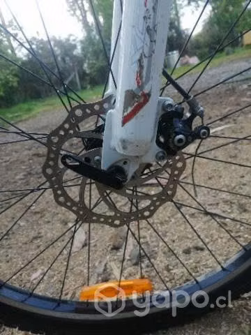 Bicicleta Bianchi aro 26