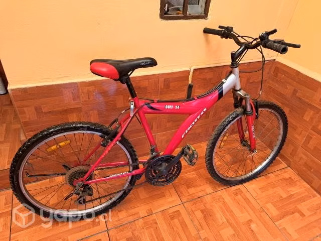 Bicicleta aro 24