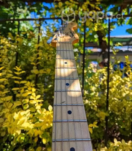 Squier Stratocaster California Series - Imagen 4