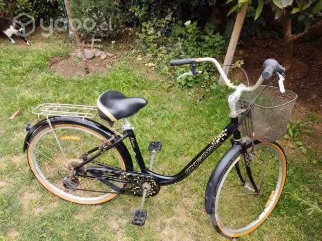 Bicicleta mujer - Imagen 4