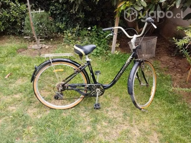 Bicicleta mujer
