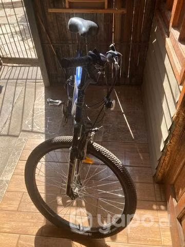 Bicicleta bianchi - Imagen 3