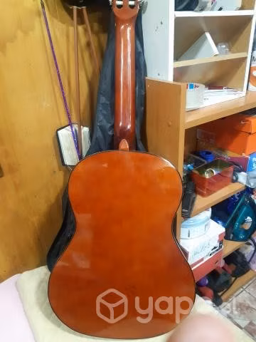 Guitarra nueva - Imagen 2