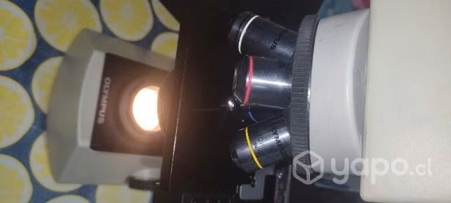 microscopio Óptico OLYMPUS marca CX21