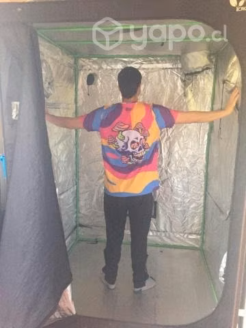 Carpa indoor