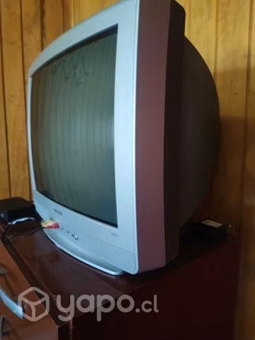 Televisor