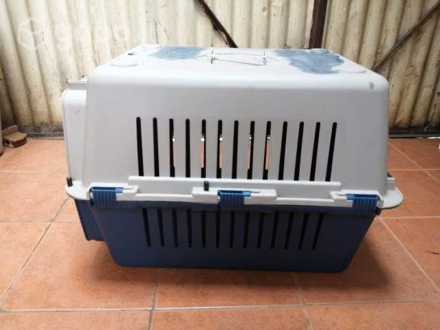 Transportin para perro - Imagen 3