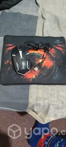 Teclado, mouse y raton