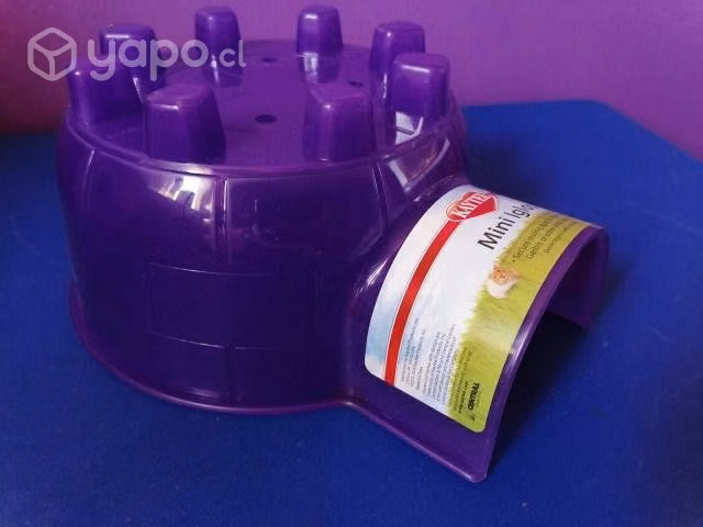 Igloo Mini