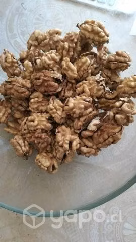 nueces