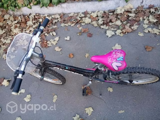 Bicicleta niña aro 20 - Imagen 2