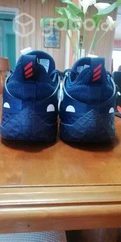 Harden vol. 5