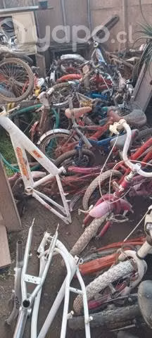 Lote de bicicletas de niño