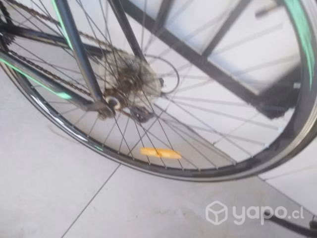 Bicicleta pistera - Imagen 3