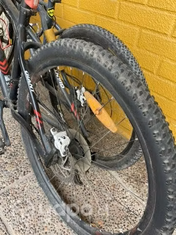 Giant Talón M