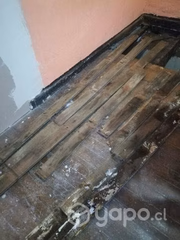Maestro en demolición