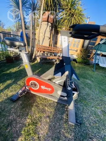 Bicicleta spinning pro muvo beat 52 Oxford