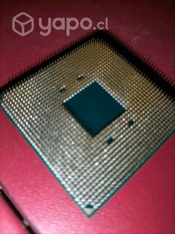 procesador AMD ryzen 3 3100