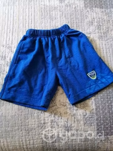 Short, pantalón de buzo y polera netlandschool