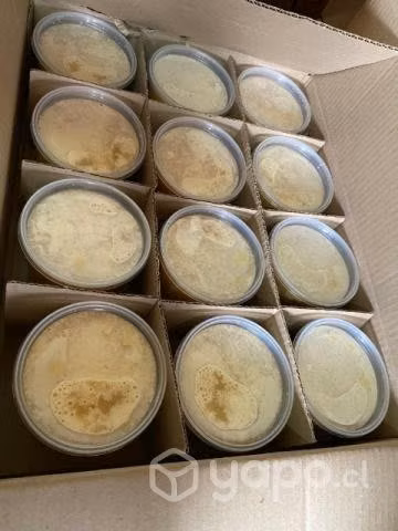 Miel de Raps