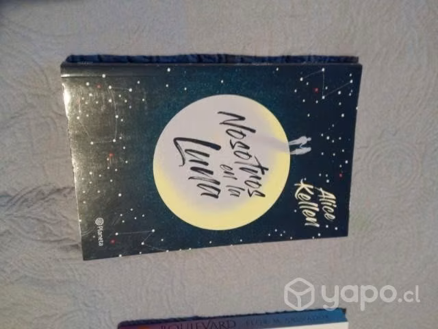 Nosotros en la luna