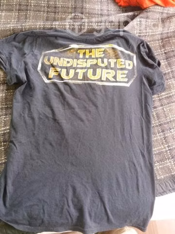 Camiseta Seth Rollins 2014 - Imagen 2