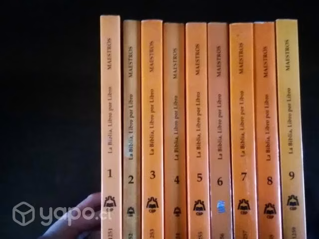 Enciclopedia la Biblia libro por libro para maestr