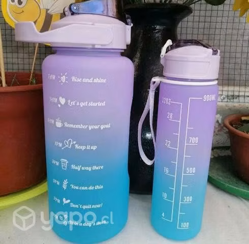 Botellas motivacionales de 2 litros y 900cc
