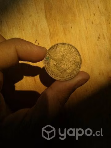 Coleccionista de monedas