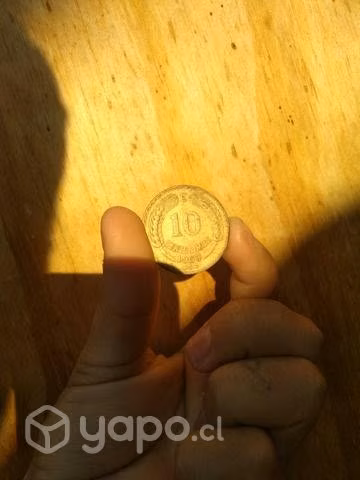 Coleccionista de monedas
