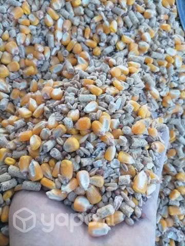 Comida de aves a domicilio