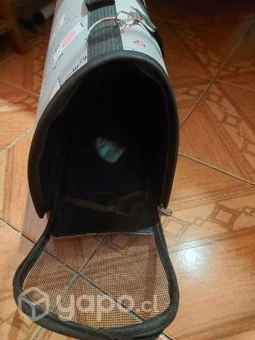 Bolso para gatos