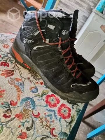 Zapatos lippi