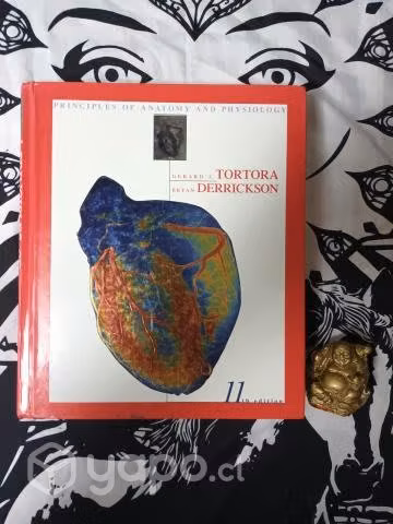 Principios de Anatomía y Fisiología (Inglés)