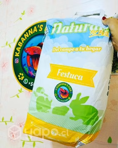 Heno ballica festuca avena y alfalfa