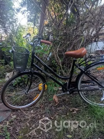 Bicicleta de Paseo aro 26