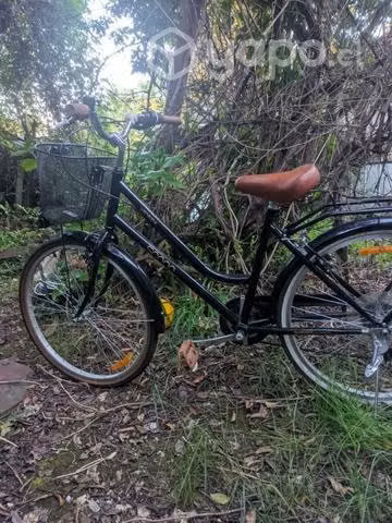 Bicicleta de Paseo aro 26