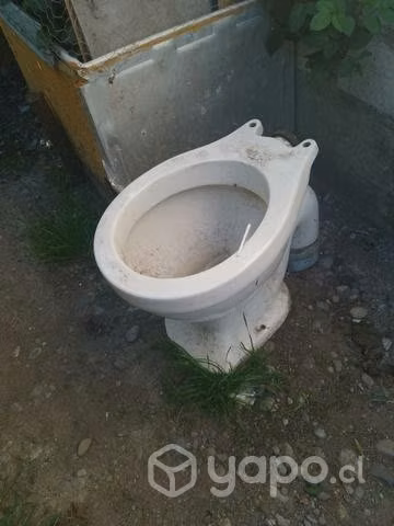 Tasa baño buen estado