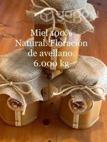 Miel 100% Natural - Sureña