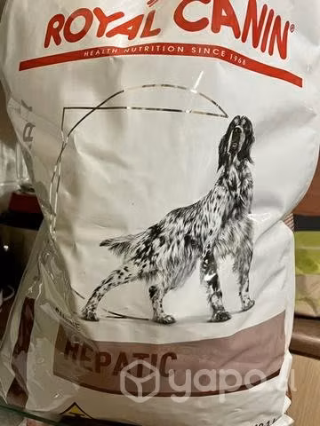 Royal Canin HEPATIC, saco de 10 kg con 8.4 kg